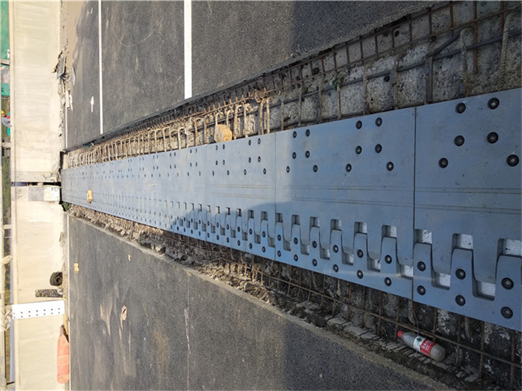 1588524505250460.jpg 2020年3月20日洛吉 (17).jpg